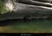 20090607_baume_champlautierfalaises09