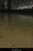 20090607_baume_champlautierfalaises14