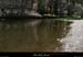 20090607_baume_champlautierfalaises15
