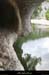 20090607_baume_cirqueplatane_falaise2