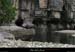 20090607_baume_cirqueplatane_falaises01