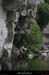 20090607_baume_cirqueplatane_falaises04