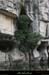 20090607_baume_cirqueplatane_falaises10