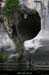 20090607_baume_cirqueplatane_falaises12