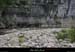 20090607_baume_cirqueplatane_falaisesam3