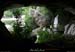 20090607_baume_cirqueplatane_grotte02