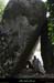 20090607_baume_cirqueplataneav