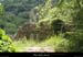 20090607_georgesbaume_sentierbuissiere