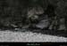 20100321_avlabeaume_teoule02