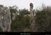 20100321_avlabeaume_teoule11