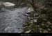20100321_gorgeslabeaume_rapideavteoule06