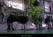 20100515_rivierelabeaume_falaisessschavetourte5