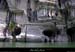 20100515_rivierelabeaume_falaisessschavetourte6