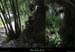 20110521_labeame_baumesslabuissiere3