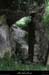20110521_labeame_baumesslabuissiere4
