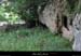 20110521_labeame_baumesslabuissiere5