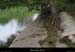 20110602_gorgeslabeaume_rivestalbanssbizac02