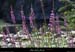 20110815_labeaume_gorgesouslajarjatte3
