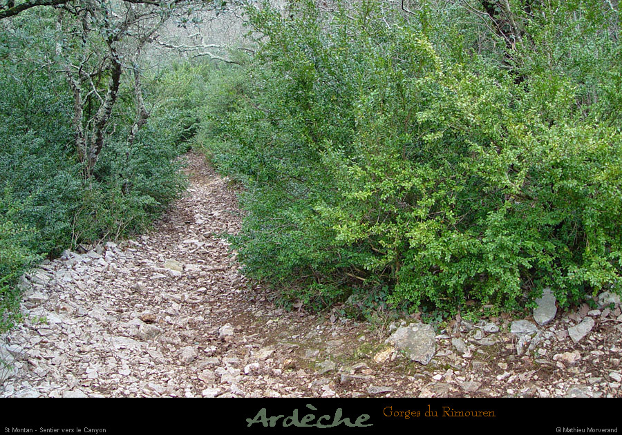20030222_boisderimouren_sentier