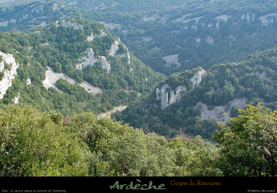 20030223_gorgesdurimourendechironlond_1