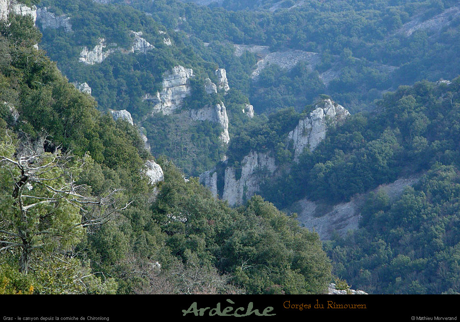 20030223_gorgesdurimourendechironlond_3