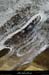 20030222_gorgesdurimouren_canyon_glace_09