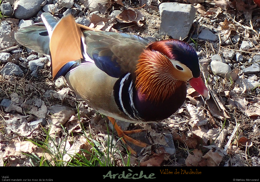 20240114_377