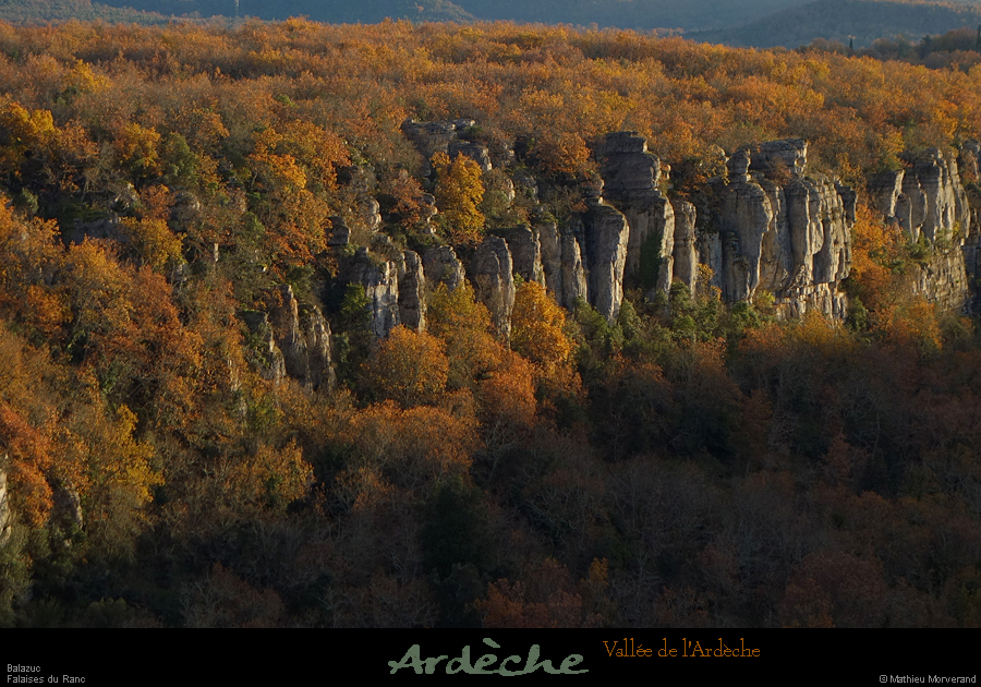 20211205b05