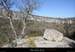 20090315_cirquegens_ptegrazel4