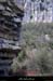 20100410_pointedugrazelest09