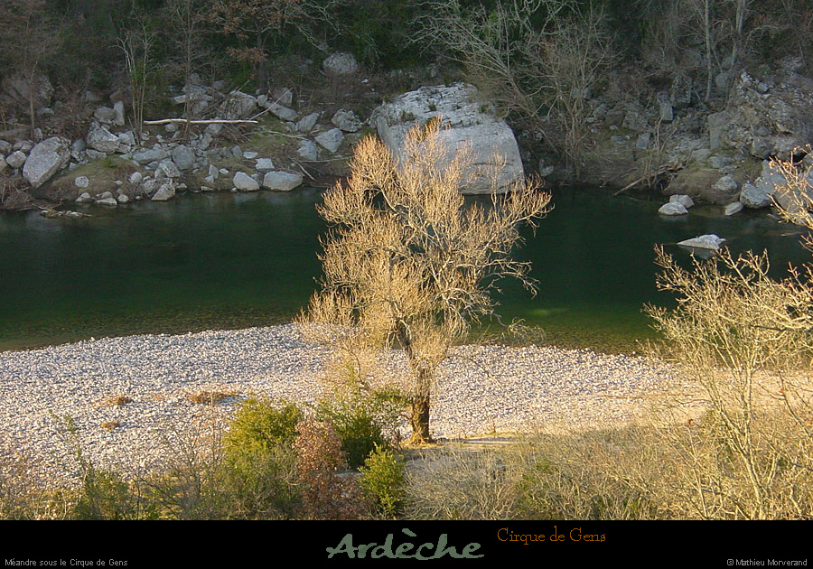 20040103_cirquedegens_pointene_arbre_1