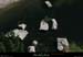 20190506_cirquegens5