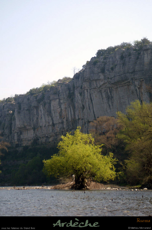 20100410_avfalaisessspetitbois01