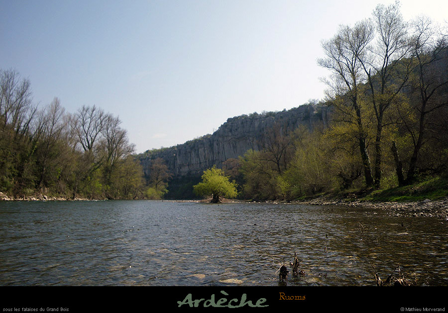 20100410_avfalaisessspetitbois04