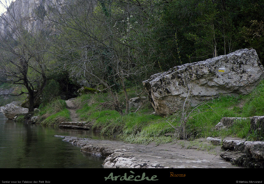 20100410_ssfalaisespetitbois_sentier1