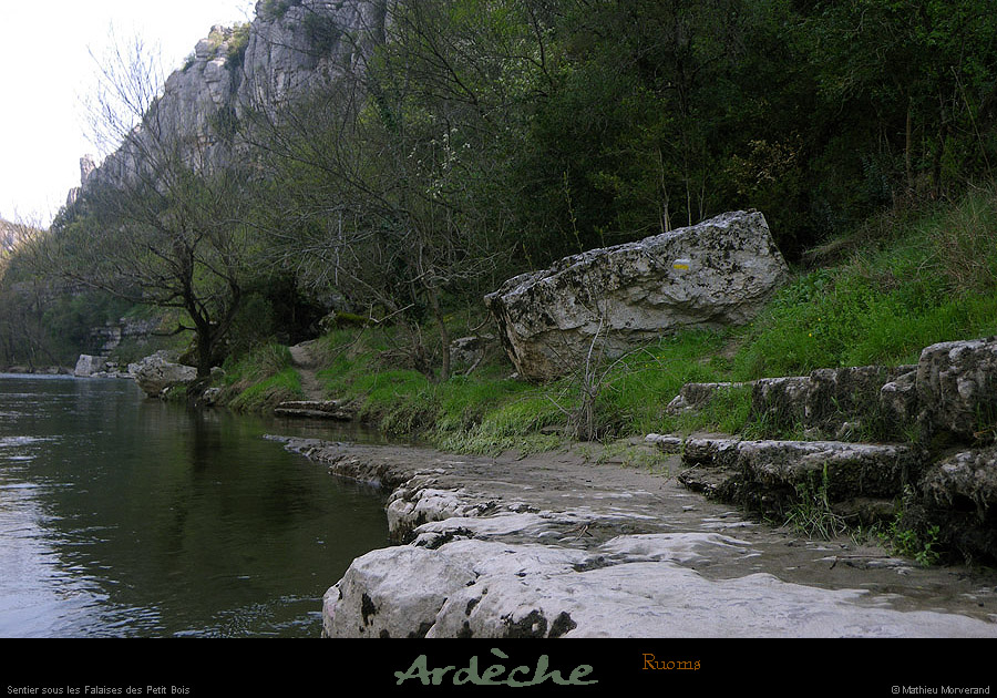 20100410_ssfalaisespetitbois_sentier2