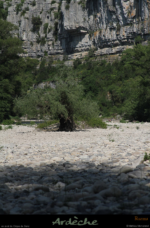 20110501_ruoms_avcirquedegens01