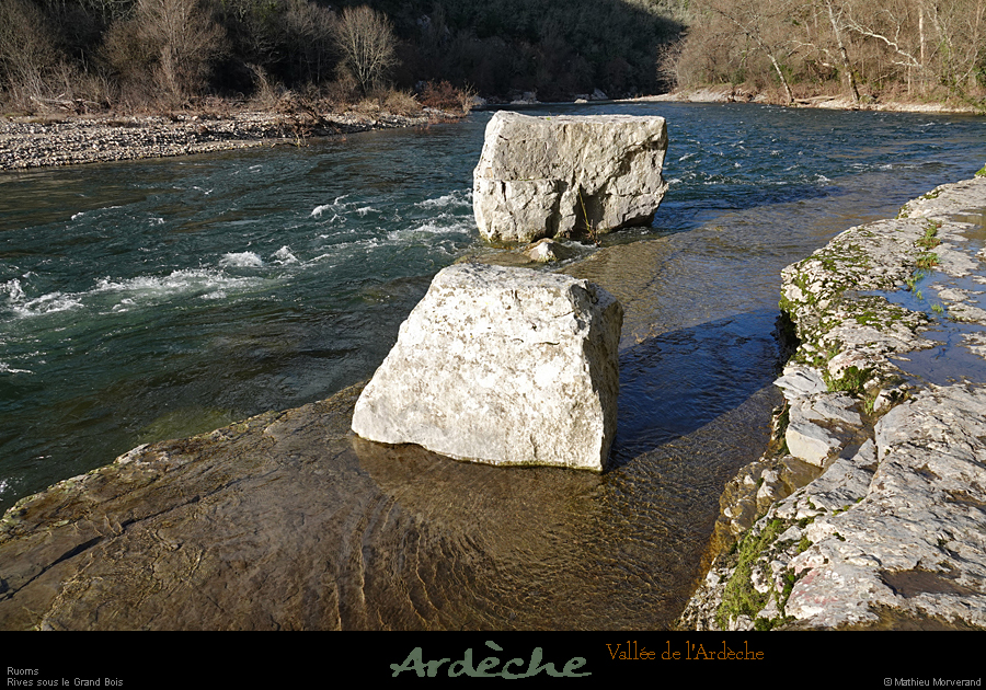 20260214_26