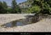 20110501_ruoms_amconfluence_arbrearaignee1