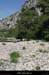 20110501_ruoms_avcirquedegens07