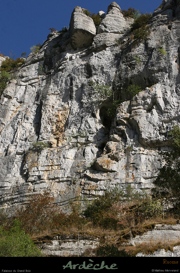 20090822_falaisespetitbois2
