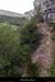 20130825_ruoms_gorgesardechedepuisviressgrdbois_04
