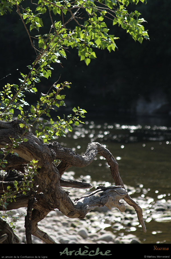 20110501_ruoms_amconfluence_02
