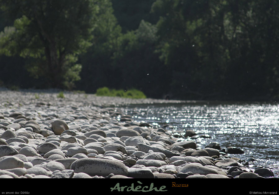 20110501_ruoms_amconfluence_06