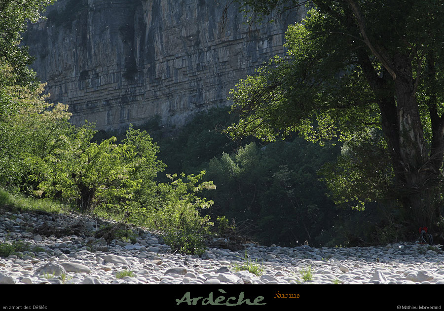 20110501_ruoms_amconfluence_09