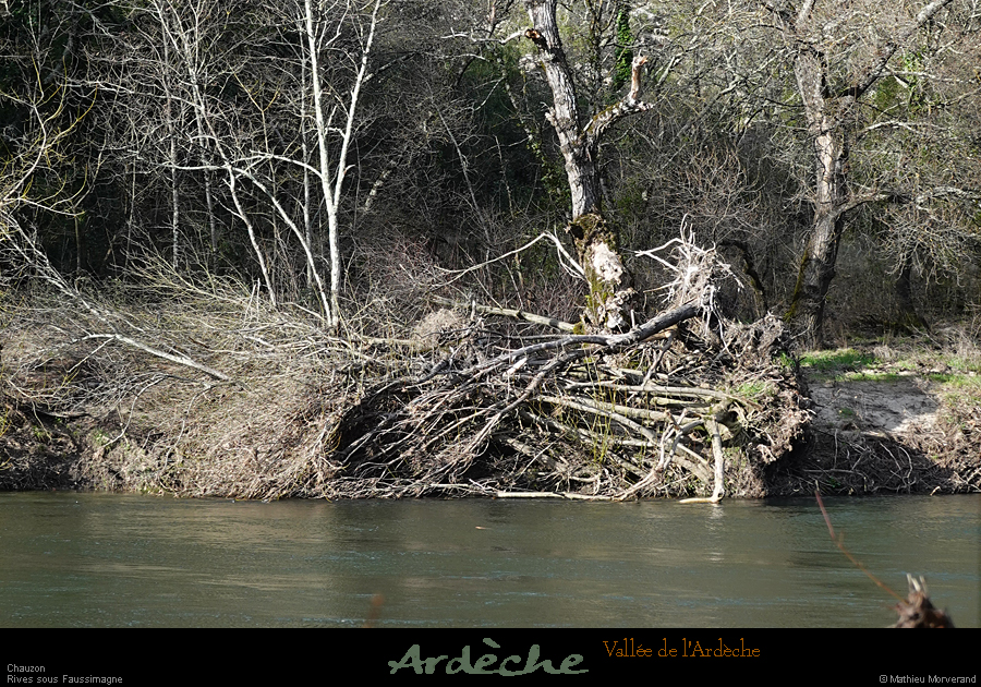 20260214_09