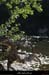20110501_ruoms_amconfluence_02