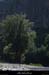 20110501_ruoms_amconfluence_10