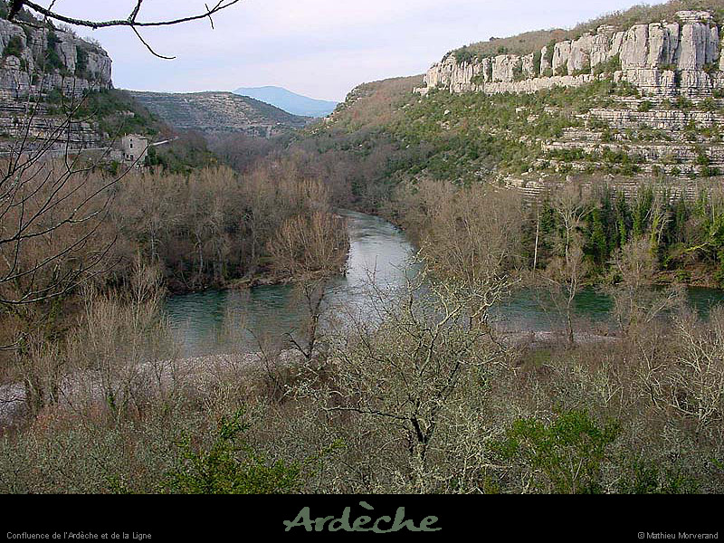 20041106_confluenceligne