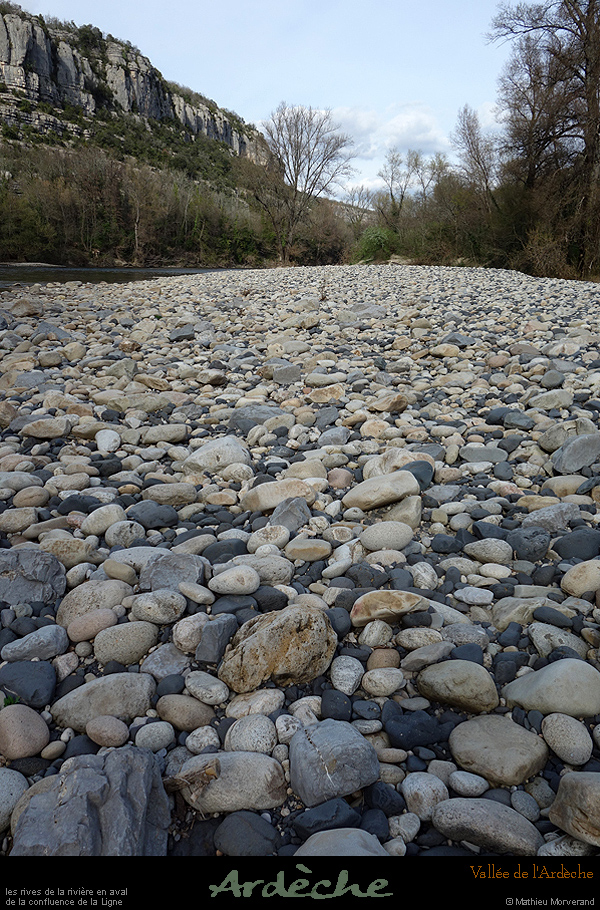 20170318_avalconfluenceligne4